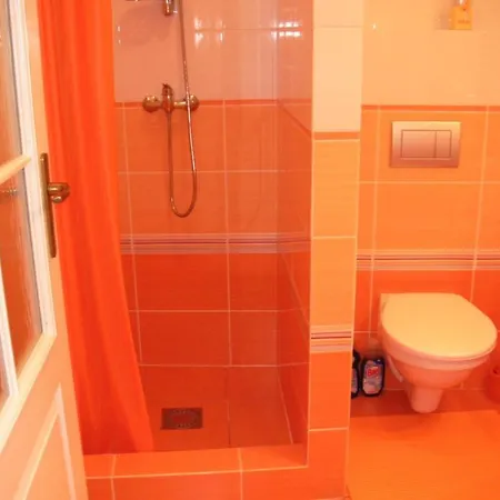 Privat U Spazalu Guest house 3*
